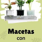 Macetas Auto Riego